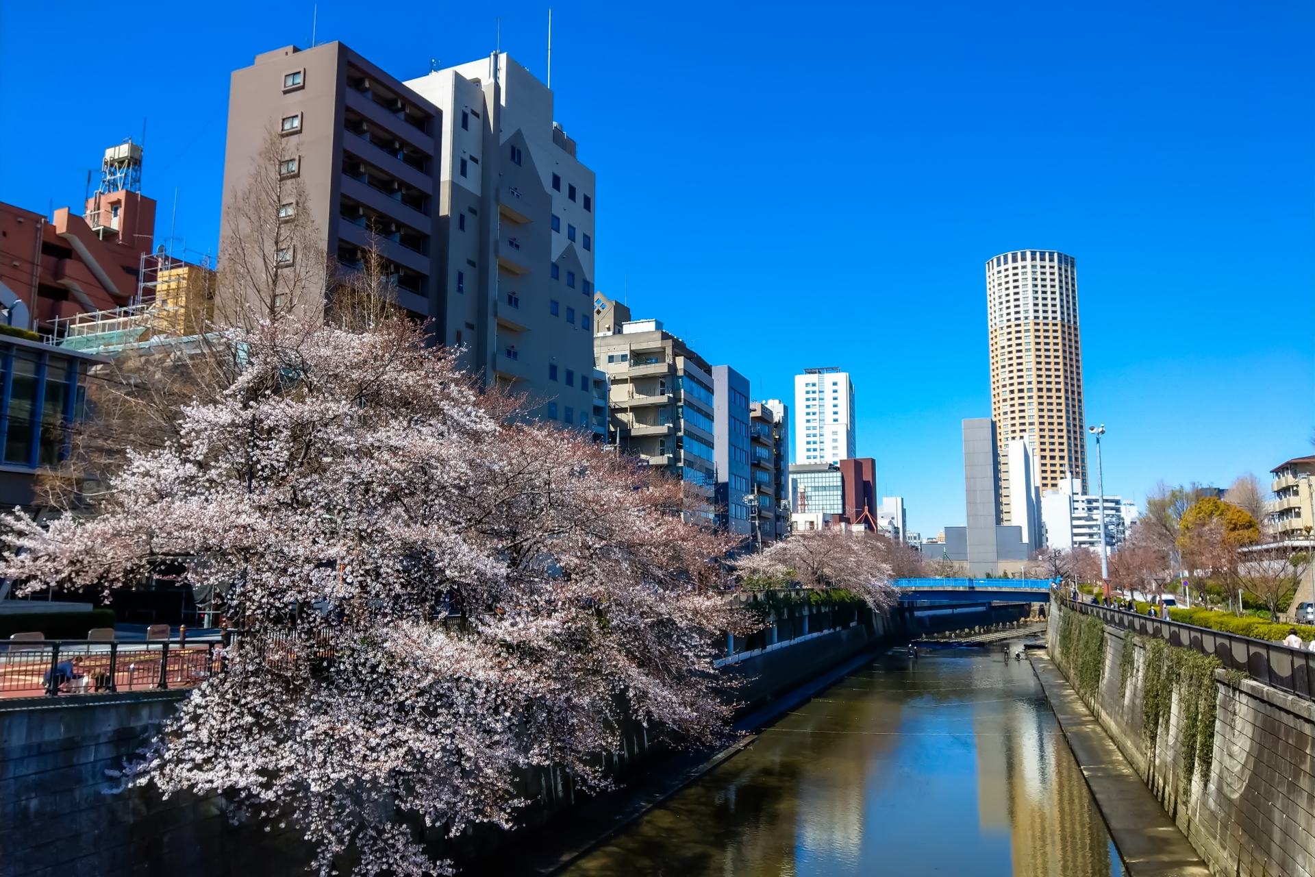旅館業施設の運営と規制対応