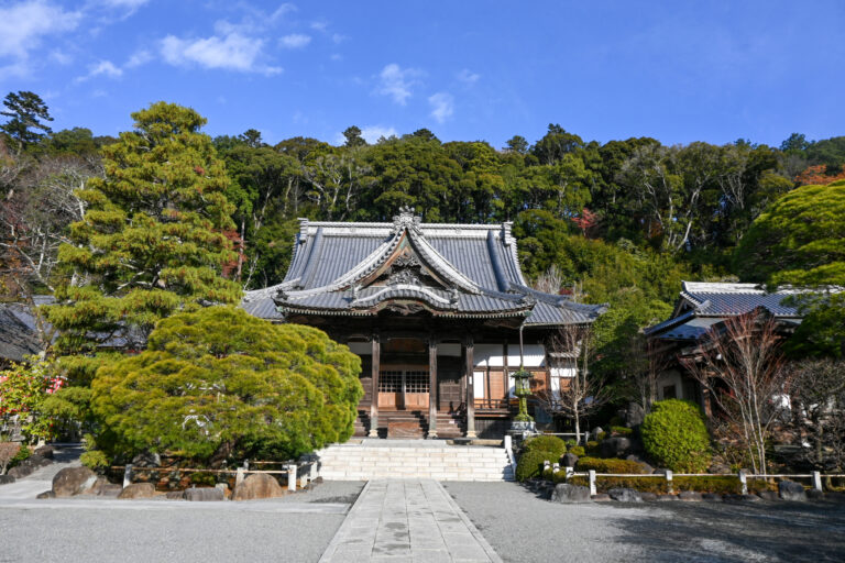 伊豆で民泊を始めるには？条例・営業日数の規制と運営代行会社の選び方